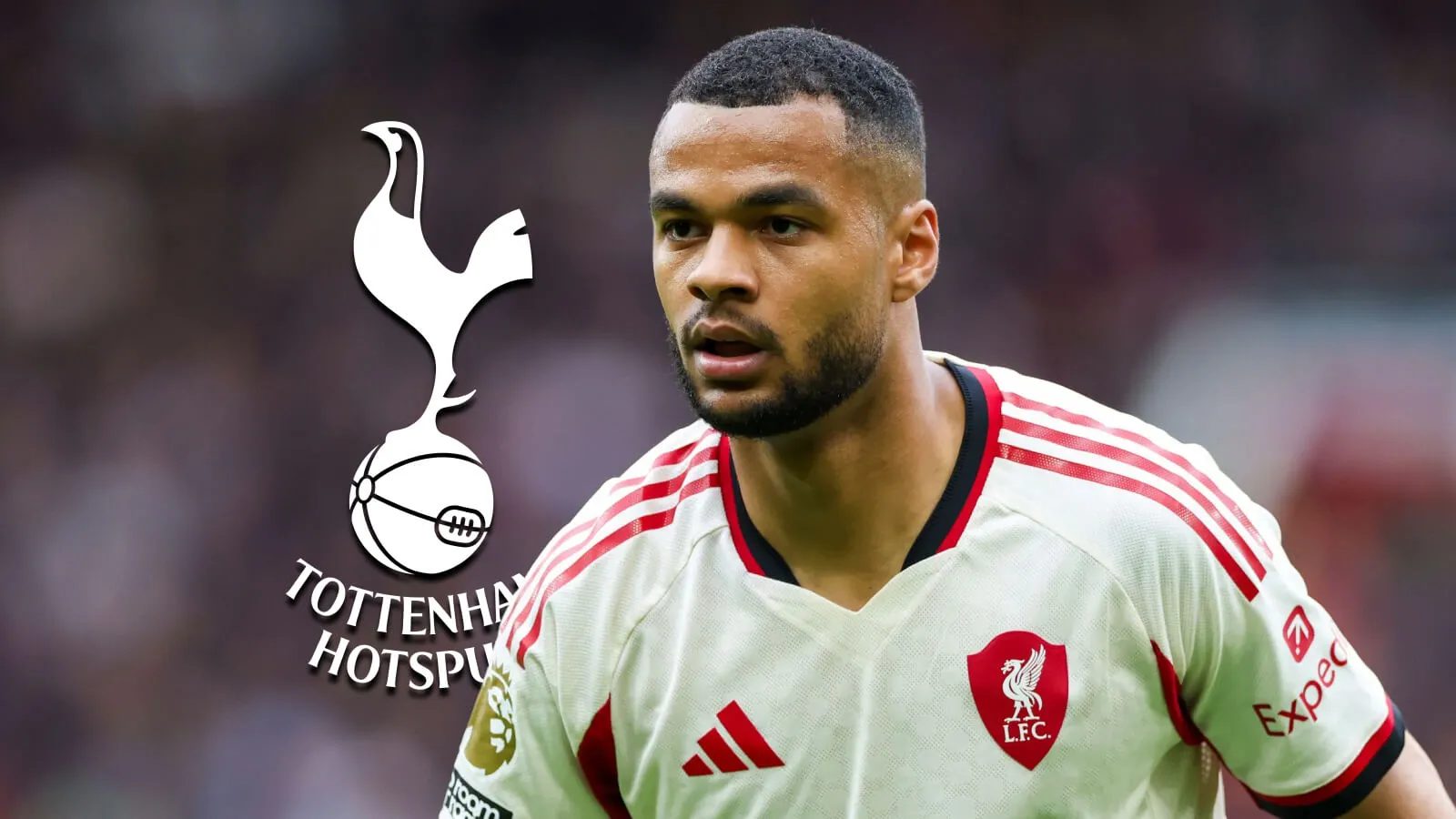 Cody Gakpo dikabarkan semakin dekat bergabung dengan Tottenham Hotspur di bursa transfer
