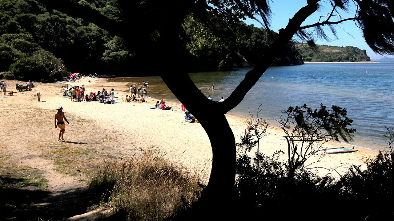 Pemandangan Teluk Tomales California dengan perairan tenang di siang hari